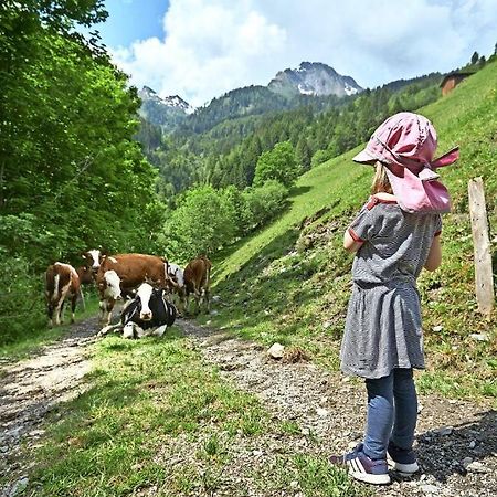 Bed And Breakfast - Die Aelplersuit Fuer Backpackers Im Berghuesli Linthal 外观 照片