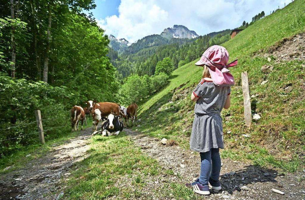 Bed And Breakfast - Die Aelplersuit Fuer Backpackers Im Berghuesli Linthal 外观 照片