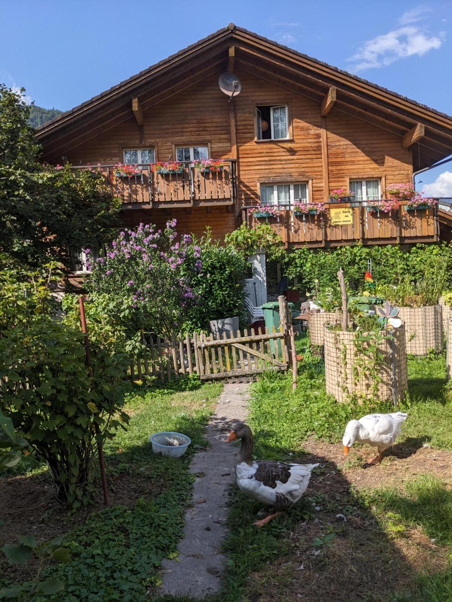 Bed And Breakfast - Die Aelplersuit Fuer Backpackers Im Berghuesli Linthal 外观 照片