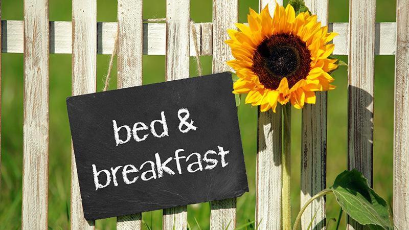 Bed And Breakfast - Die Aelplersuit Fuer Backpackers Im Berghuesli Linthal 外观 照片